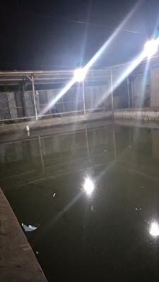 Pemancingan lele sirin