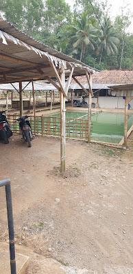 Pemancingan pak dala