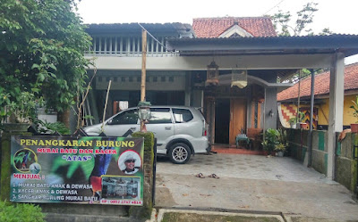 Penangkaran Burung Murai Batu & Kacer "ATAS"