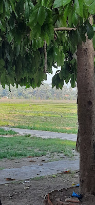 Penerbangan dara bang ketip