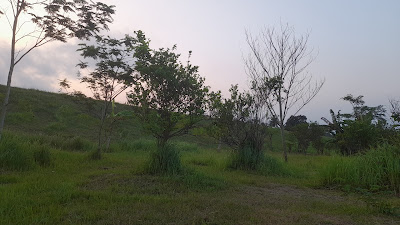 Pengaritan, kebon jeruk