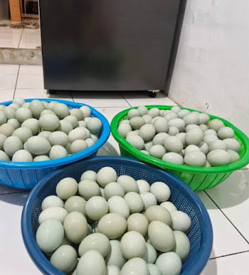 Penjahit Faza Nadiyya