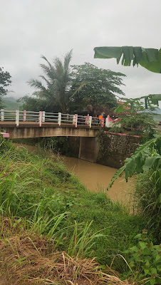 Pesawahan kedungglagah