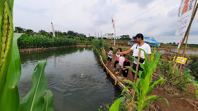 Petik Melon Ora nandur ngunduh