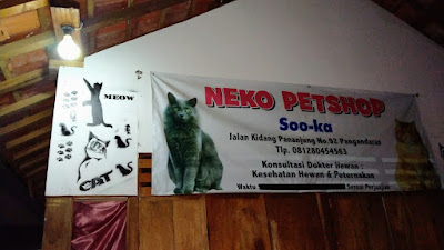 Petshop Neko 2