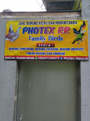 Photex RR family Birds