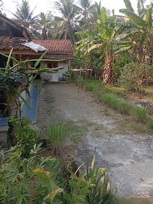 Pijat & bekam cingepret