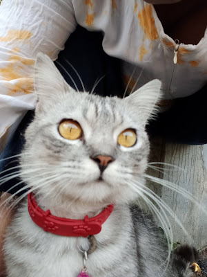 Pijat Bregudug Suratno
