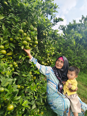 pijat tradisional bu tarsih