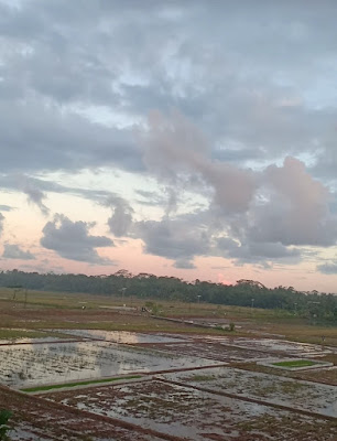 Pinggir sawah Kubang Wungu