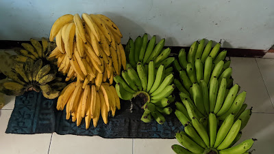 Pisang 3 saudara
