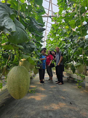 PituSanga Farm Greenhouse