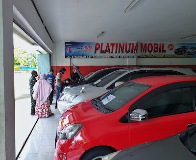 Platinum Mobil