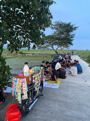 POHON WARU GILI TENGAH