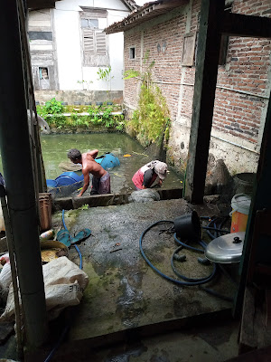 Pokdakan Mina Mulia Sari