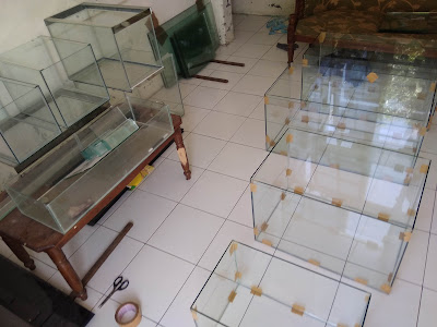 Pratama aquarium