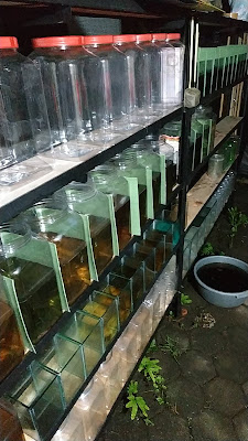 Prisa Aquatic Farm