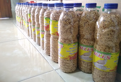 PROGO BIRD FOOD