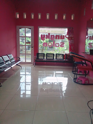 Pungky salon