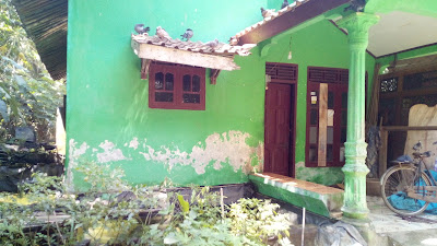 Pusat ayam Bangkok Bu Masinah
