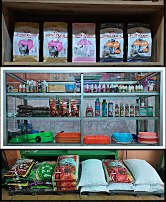 Queen petshop