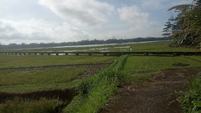 Rawa Lengkong