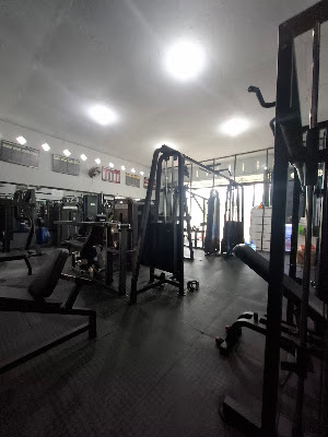 Reiner Gym