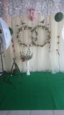 Rias Pengantin Widya