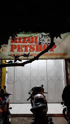 Rizqi Petshop