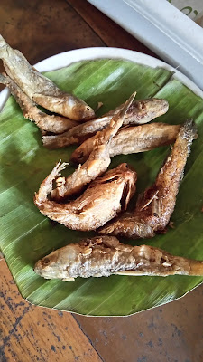 RM Sendang Sinaga