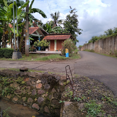 Rohmat Ayam Bangkok