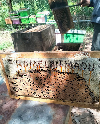 Romelan Madu