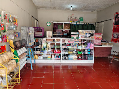 Ruby Shopaholic SG Petshop