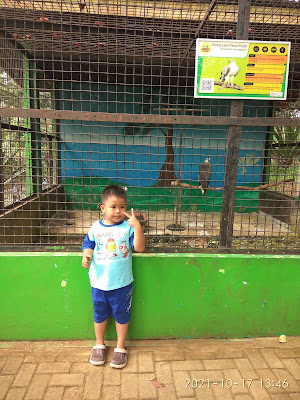Rumah atha belva