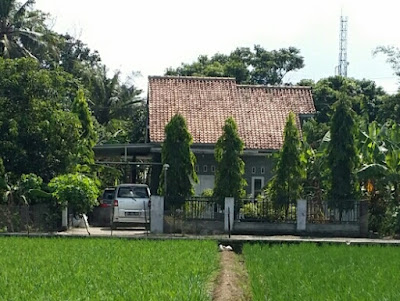 Rumah Bekam Al-Manshuroh