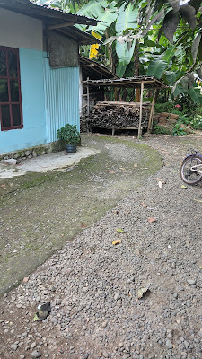 Rumah Dabed
