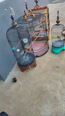 Rumah Fauzia(ZIA)