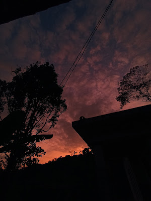Rumah hank