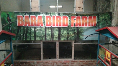 Rumah kicau Bara