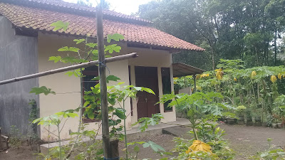 Rumah pak Saryono jual ikan laut