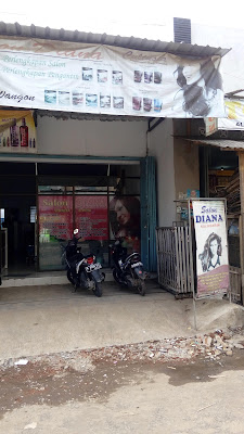 Salon Diana