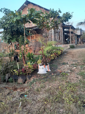 Salwa home