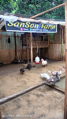 Sanson Farm