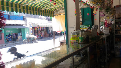 Sari Boga