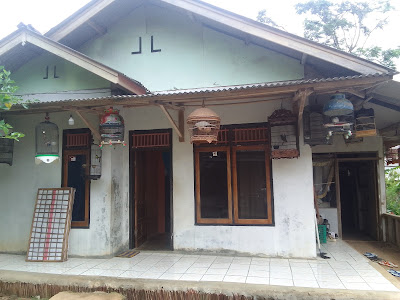 Saung bpl singapur