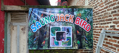 Saung Jack Bird