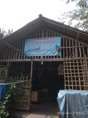 Saung Kicau Putra Galur