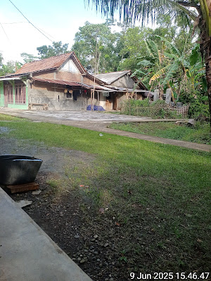 Savana cafe