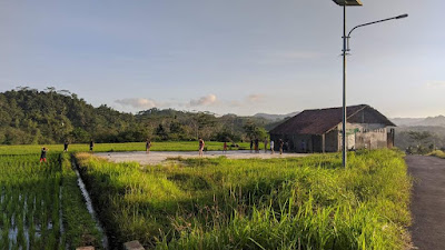 Sawah nggunung