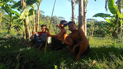 Sawah nongkrong
